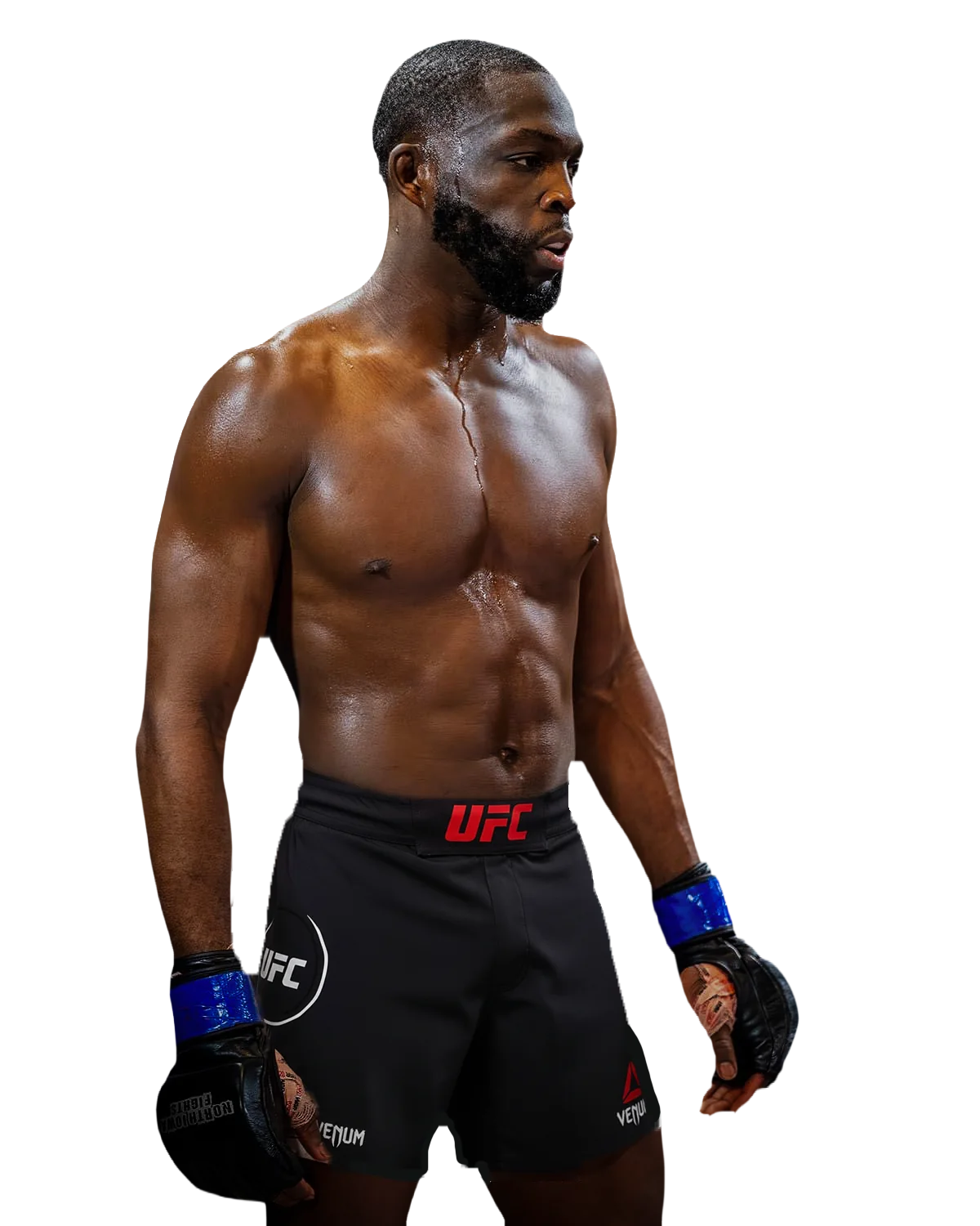 Noche UFC Highlights: Gantt Suffocates Klose With Late Reverse Triangle